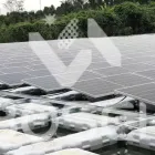 Företag 4 bild BOSCH FLOATING SOLAR PV SYSTEM & SOLUTION CO., LTD Energibesparing, effektivisering i Stockholm-Arlanda AB
