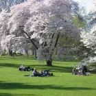 Företag 2 bild BOTANISKA TRÄDGÅRDEN Turistbyråer, turistorganisationer i Göteborg O