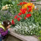 Företag 4 bild BOTANISKA TRÄDGÅRDEN Turistbyråer, turistorganisationer i Göteborg O