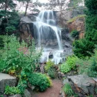 Företag 5 bild BOTANISKA TRÄDGÅRDEN Turistbyråer, turistorganisationer i Göteborg O