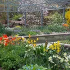 Företag 6 bild BOTANISKA TRÄDGÅRDEN Turistbyråer, turistorganisationer i Göteborg O