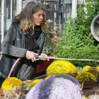Företag 7 bild BOTANISKA TRÄDGÅRDEN Turistbyråer, turistorganisationer i Göteborg O