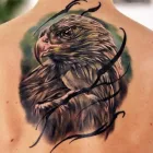 Företag 6 bild DOPE TATTOO WORKSHOP - TATUERING HALMSTAD i Halmstad N