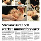 Företag 3 bild EKOLEA EKOLOGISK HUD & HÅRVÅRD AB i Karlstad S