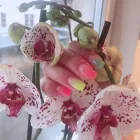 Företag 3 bild NAILS PALACE - NAGELSALONG VÄSTERÅS i Västerås U