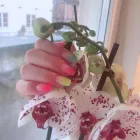 Företag 14 bild NAILS PALACE - NAGELSALONG VÄSTERÅS i Västerås U