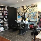 Företag 2 bild SALONG PARIS Personlig Vård & Service i Mölndal O