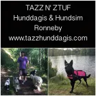 Företag 1 bild TAZZ N' ZTUF HUNDDAGIS & HUNDSIM Reser & Tourism i Ronneby K