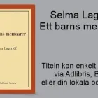 Företag 60 bild THE SUBLUNAR SOCIETY i Stockholm AB