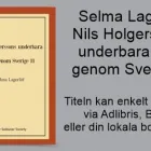 Företag 63 bild THE SUBLUNAR SOCIETY i Stockholm AB