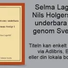 Företag 64 bild THE SUBLUNAR SOCIETY i Stockholm AB