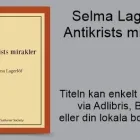 Företag 67 bild THE SUBLUNAR SOCIETY i Stockholm AB