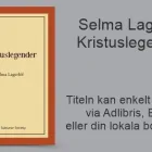 Företag 77 bild THE SUBLUNAR SOCIETY i Stockholm AB