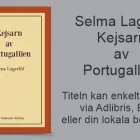 Företag 80 bild THE SUBLUNAR SOCIETY i Stockholm AB